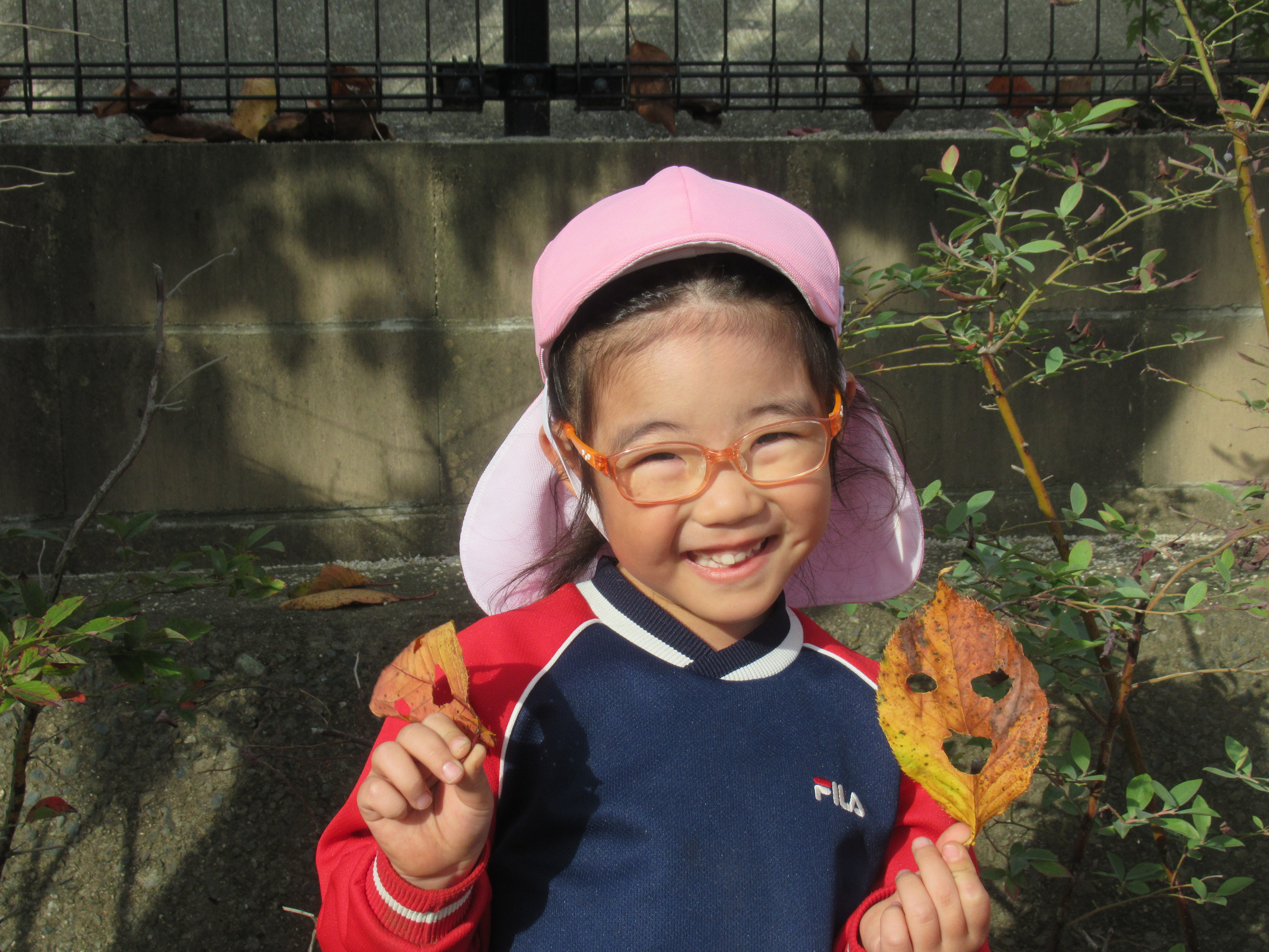 5％,画像の説明