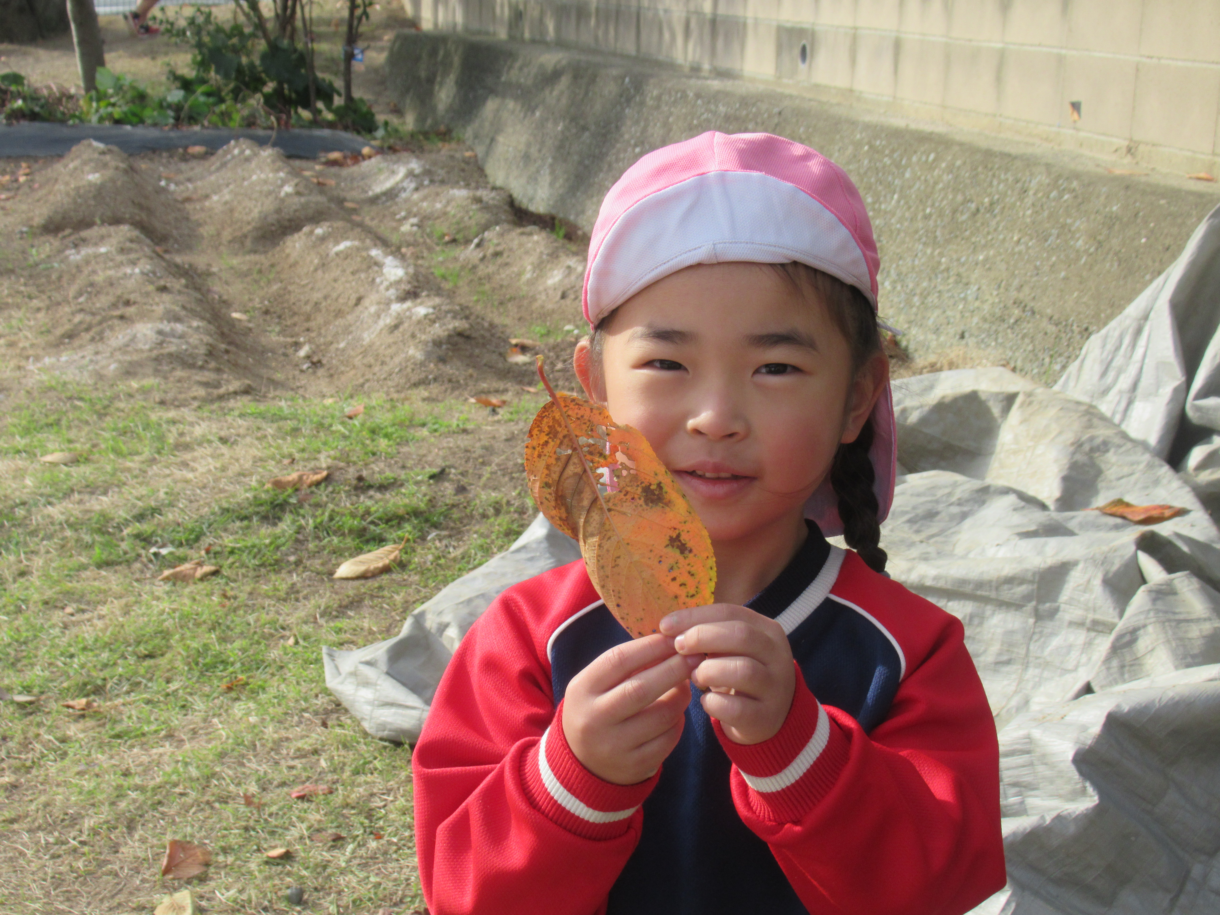 5％,画像の説明